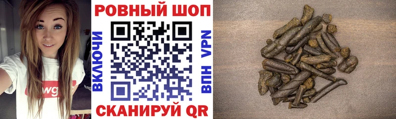 Как найти закладки Новоаннинский Галлюциногенные грибы АМФ