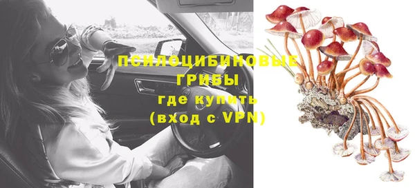герыч Мегион