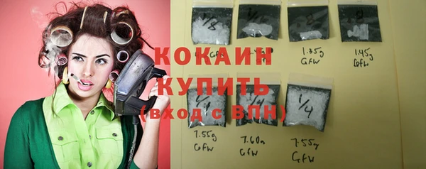 дживик Медвежьегорск