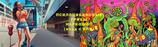 герыч Мегион