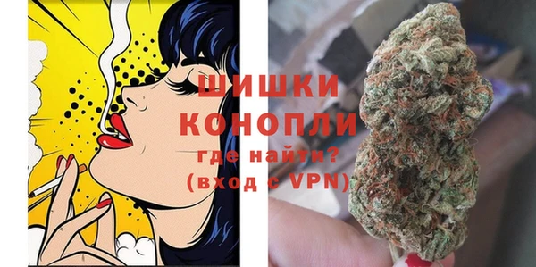 дживик Медвежьегорск