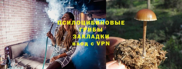 дживик Медвежьегорск