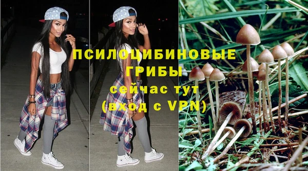бошки Магас